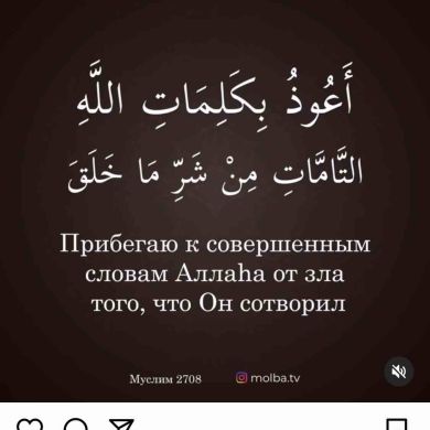 Ваха Profile Picture