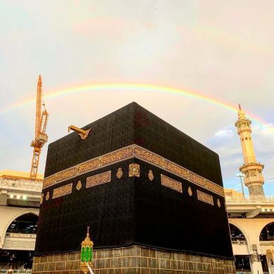 Рафаэль Гафуров Profile Picture