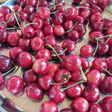 Махач Ибрагимович