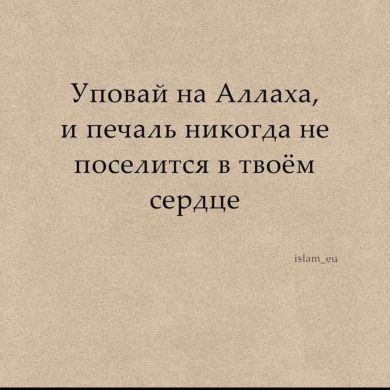 Ясави Муртазалиев Profile Picture