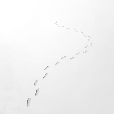 Marseilles Y Profile Picture