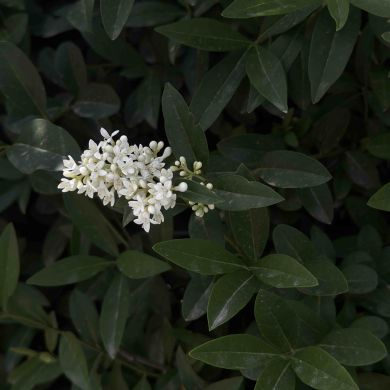 Жамиля Турарова Profile Picture