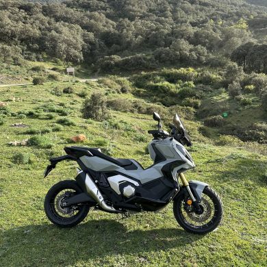 Chikh touami Brahim Profile Picture