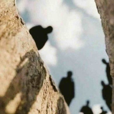 cccc xcxc Profile Picture