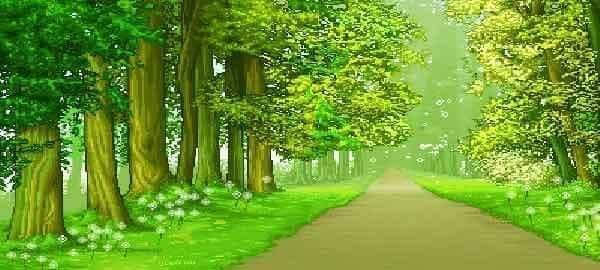 نصائح ومواعظ من سلسلة هم قالوا Cover Image