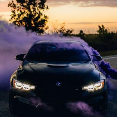 zaur _95 Profile Picture