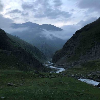 Mukhammad  Omaraskhabov Profile Picture