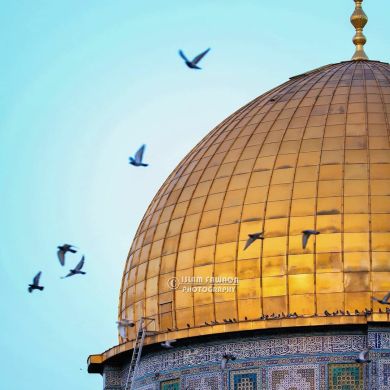 umma1681346180 Profile Picture