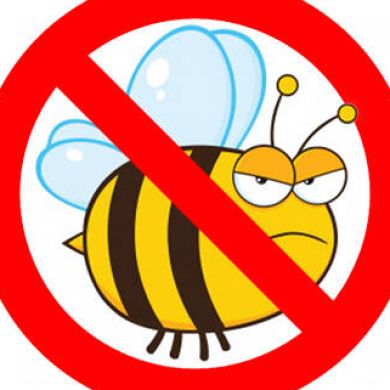 verification Profile Picture