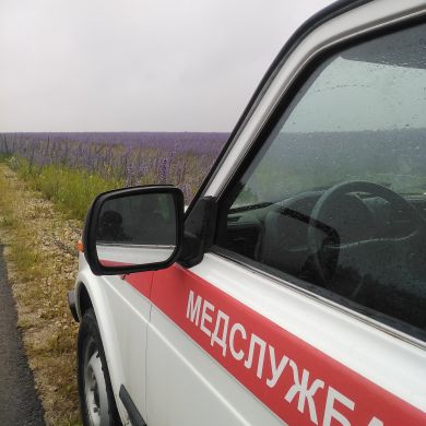 Камиль - Profile Picture