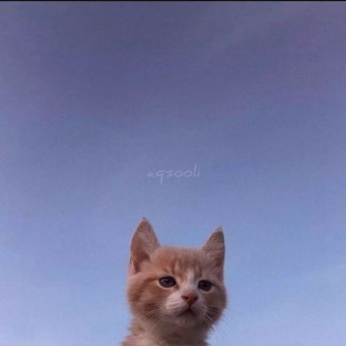 Khabibullo Shakhobiddinov