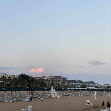 Amina Islamova Profile Picture