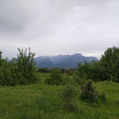 ДинМухаммад Сабуров Profile Picture