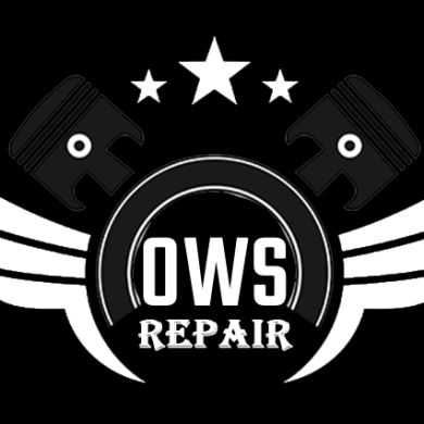 ows repair Profile Picture
