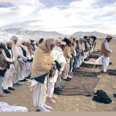 ابوأمير أيضا أكثر