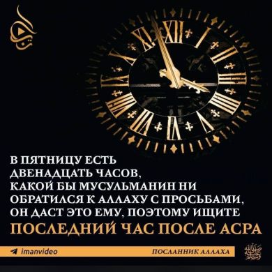 УммНусейба Бинт Рамадан Profile Picture