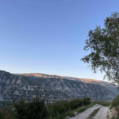 umma1689075430 Profile Picture