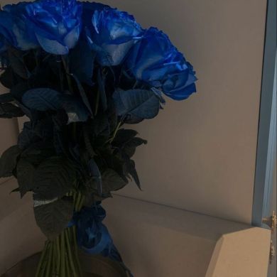 Sara Murodova Profile Picture