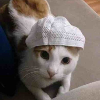 Гоча Грачёв Profile Picture