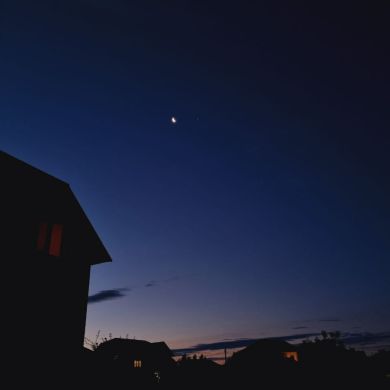 shakh L Profile Picture