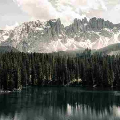 Ilhom Ibragimovich profile picture