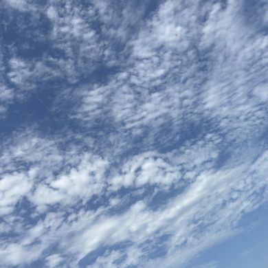 Юсуф Джамалудинов Profile Picture