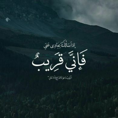 Аматулла Христофорова profile picture