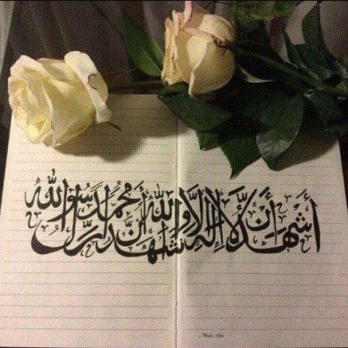 Amin betteramsly Profile Picture