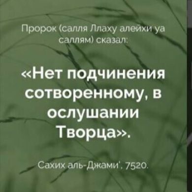 Гюльнара Сурхаева Profile Picture