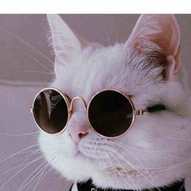 София Муслимова