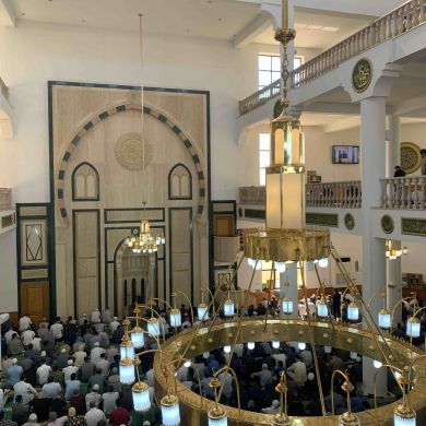 Мурад Магомедов