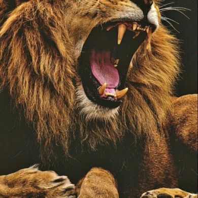 Мухаммадсаид Маматов