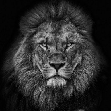 Гюльмагомедов Гюльма