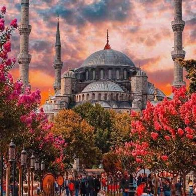 Musa Bataev Profile Picture