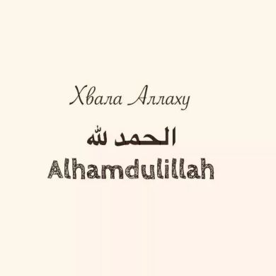 Gadjimurad Profile Picture