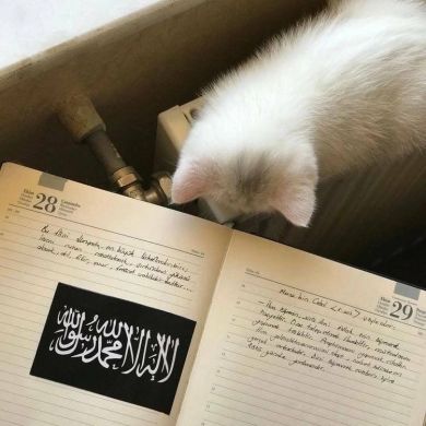 umma1695656238 Profile Picture