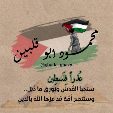 محمود ابوقلبين Profile Picture