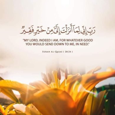 Sadik Aman Mohammed Profile Picture