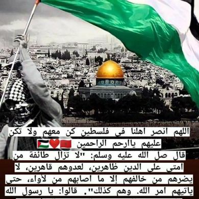 diyae alhaq Profile Picture