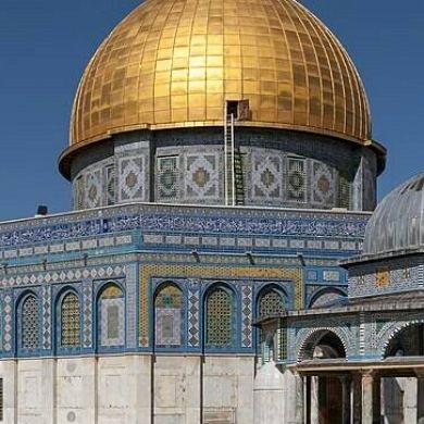 فدوى أم حذيفة