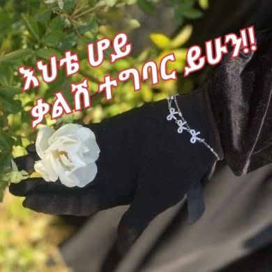 kdmeya letewhid Profile Picture