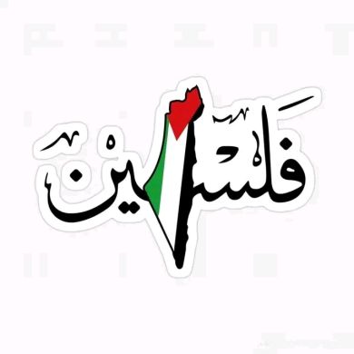 sofiya abdu Profile Picture