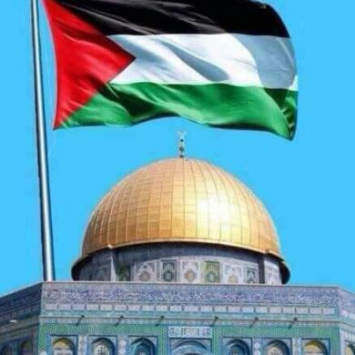 Mohammed Nasir Profile Picture