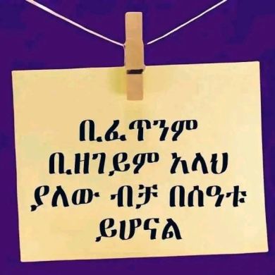 tewfik yasin Profile Picture