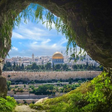 بن بدر Profile Picture