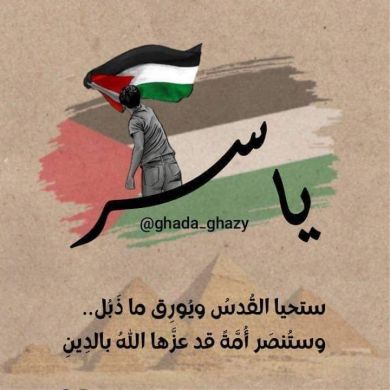 مستخدم جديد Profile Picture