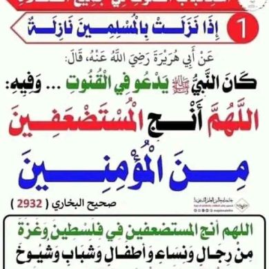 abu adnan Profile Picture