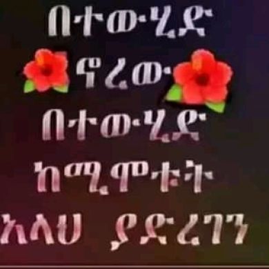 abdurahman mifta Profile Picture