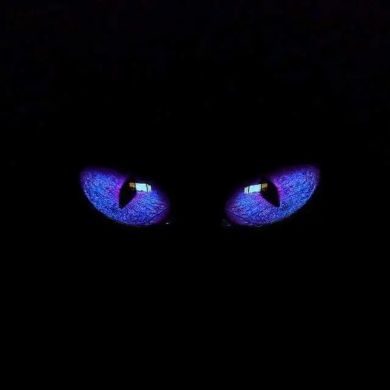 أحمد فصيح Profile Picture