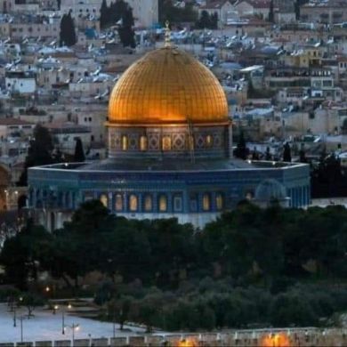 محمود صلاح Profile Picture